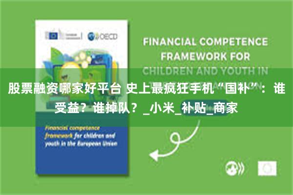 股票融资哪家好平台 史上最疯狂手机“国补”：谁受益？谁掉队？_小米_补贴_商家